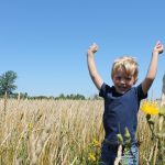 Day in the fields